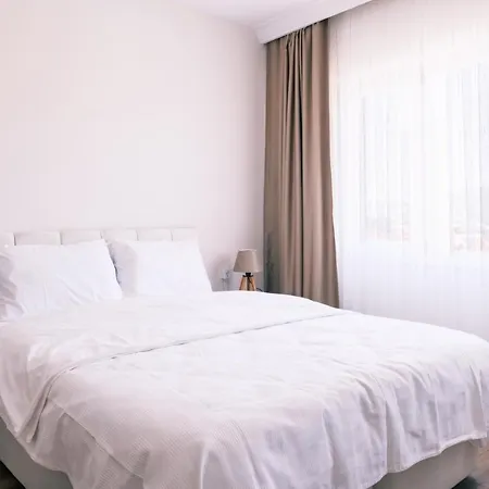 Comfy Apartment